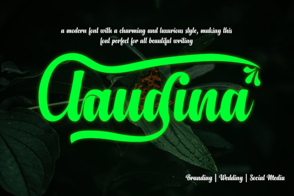 Claudina: A Luxurious Font for Web Design