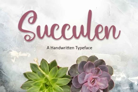 Succulen: A Font for Elegance and Clarity